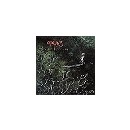 모모랜드-뿜뿜